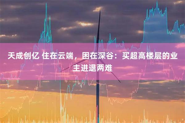 天成创亿 住在云端，困在深谷：买超高楼层的业主进退两难